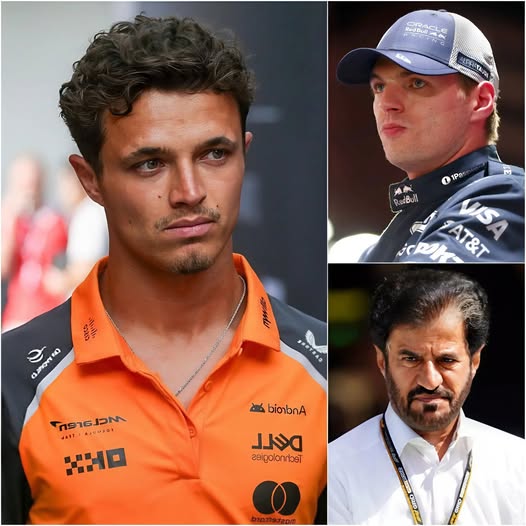 589740657_122148873014910545_8352531097096449647_n