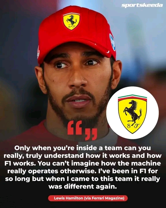 FB_IMG_17622097959103481