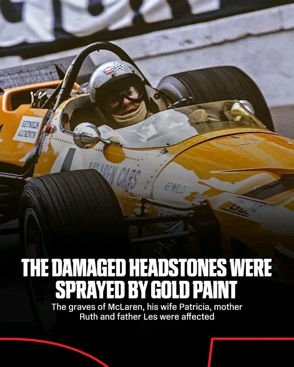 FB_IMG_17624695139422294