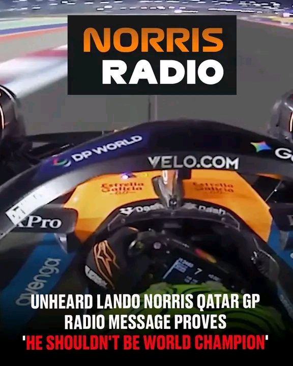 FB_IMG_17646236928383117